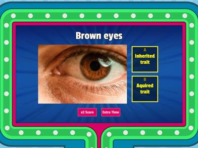 Inherited and Acquired Traits Gameshow