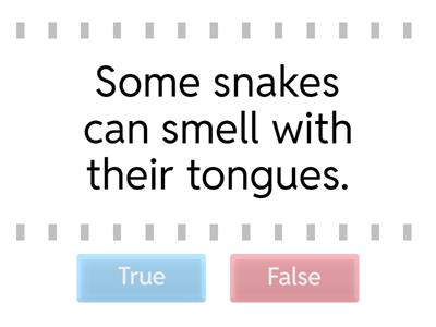 G2 Snakes! - True or False?