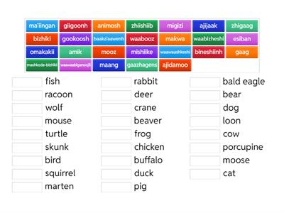 Ojibwe Clans and Awesiiyag