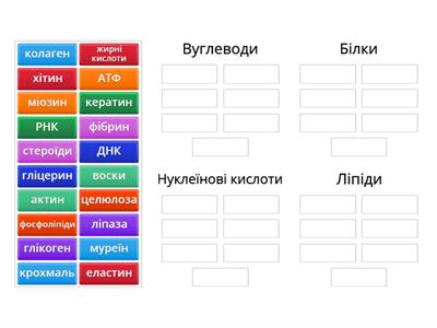 Вуглеводи, білки, ліпіди, НК