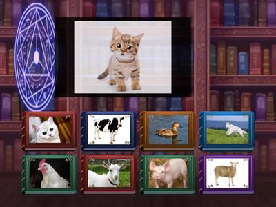 Животни - родители и деца 