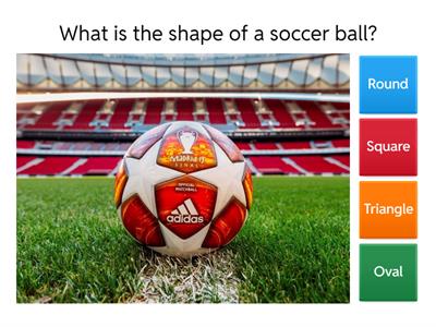 Sports Quiz for Beginners - Warm Up