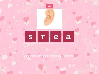 Body, part 1, grade 2