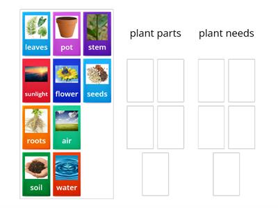 Plant needs and parts