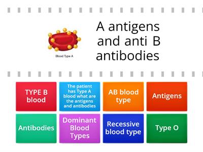 Blood types