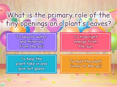 P.4 Science - Plants