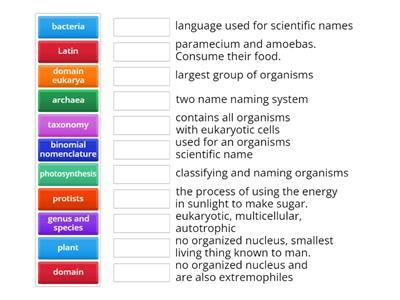 Classification/Taxonomy