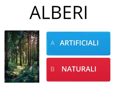 ELEMENTI NATURALI O ARTIFICIALI