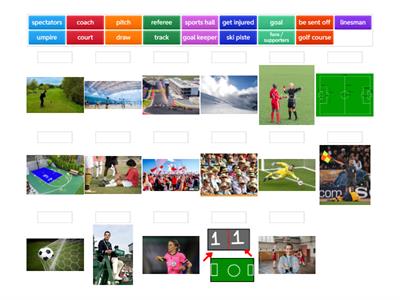 Sports: people, places and verbs