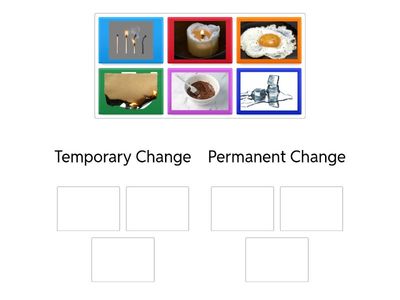 Bilingual 2nd grade class