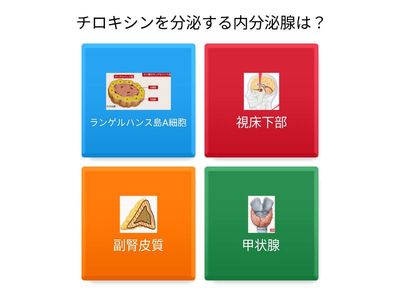 内分泌腺を覚えよう①