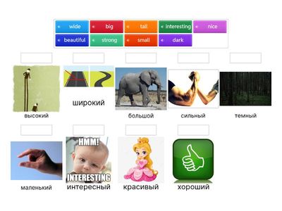 Биболетова 4 прилагательные