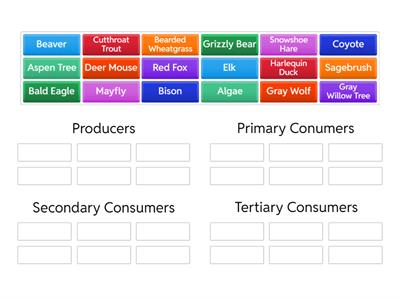 Interpreting Food Web - Energy Pyramid