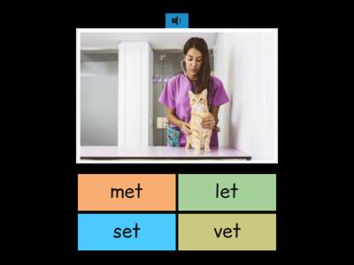 Emma the Vet 6 TIES FNDL Phonics Story C-V-C words with e