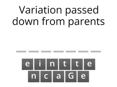 Adaptation and Variation definitions