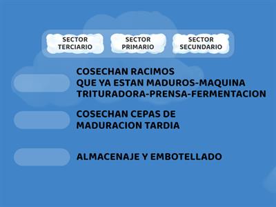 SECTORES DEL CIRCUITO PRODUCTIVO DE LA UVA