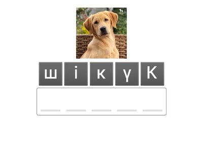 Жануарлар 1сынып