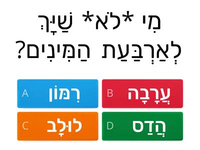 סוכות חידון 