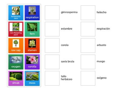 Science 4º unit 2 