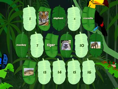 Unit 4: Animals- 2nd grade