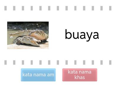 Tahun 4 Pendidikan Khas: Kata Nama Am dan Kata Nama Khas