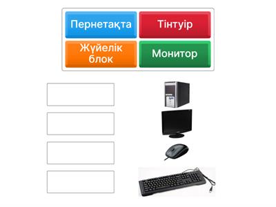 1 сынып Цифрлық сауаттылық