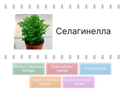 Оған қатты порно киіндірген