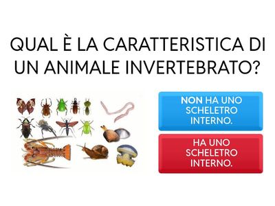 RIPASSO SUGLI INVERTEBRATI