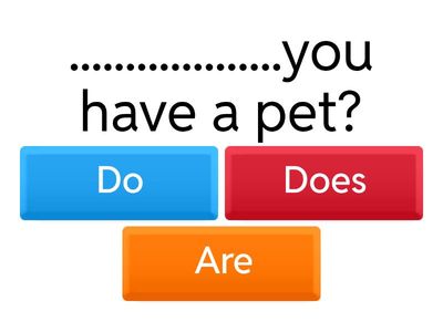 Simple Present Tense, Question Words