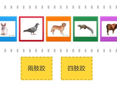 [閩/低]這的動物有幾隻跤？