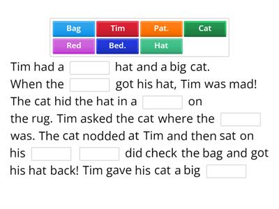The Cat got the Hat Wilson 1.3