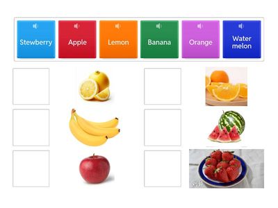 TSW 培B 楊文輝 Matching - Fruit P2