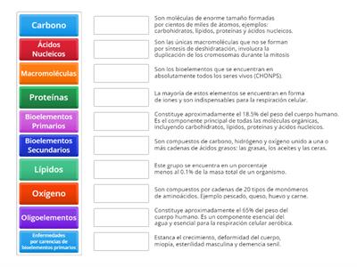 Bioelementos y Macroelementos