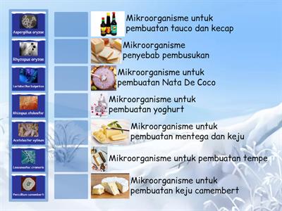 Bioteknologi Konvensional Kelas 10