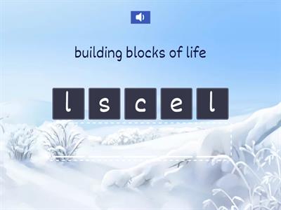 Cell Theory - Anagram