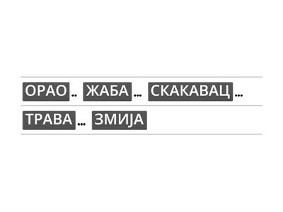 Састави правилан ланац исхране.