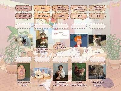 Bugs Team 3 Unit 2 Lesson 4 and 5