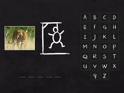 Animals hangman