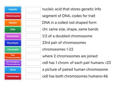 Terms to Know for cell reproduction