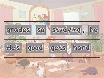 Test Get Involved A2+