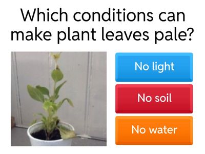  Consequences of Plant Conditions (EYHS)