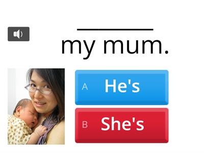 Beehive Starter  He's or She's