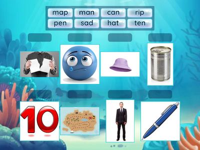 CVC Words SATIPNCKREHMD