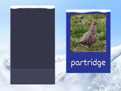 12 days of Christmas