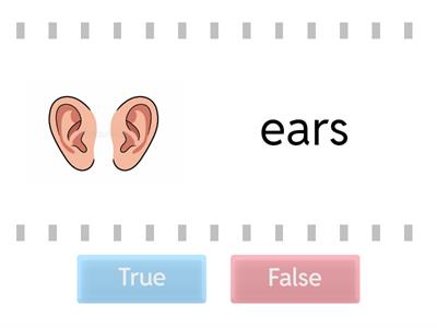 True false 3 KL 1 ур