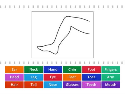  Parts of the body - NEA 3 - Unit 3 - My body and face