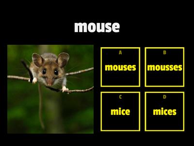 plural nouns