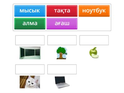 жауабын тап