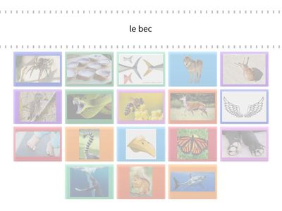 Sésame 2 animaux match