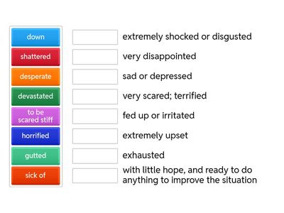 EF Upper-intermediate Vocabulary 5A Feelings